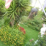 Harmony Maratea